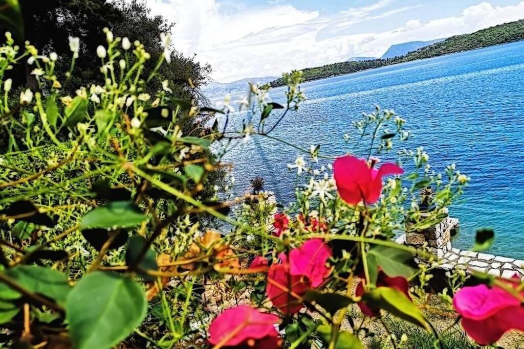 Villa Violeta Lefkada Nydri 외부 사진