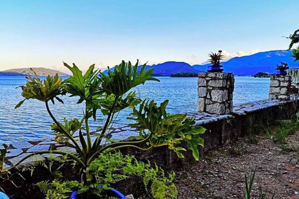 Villa Violeta Lefkada Nydri 외부 사진