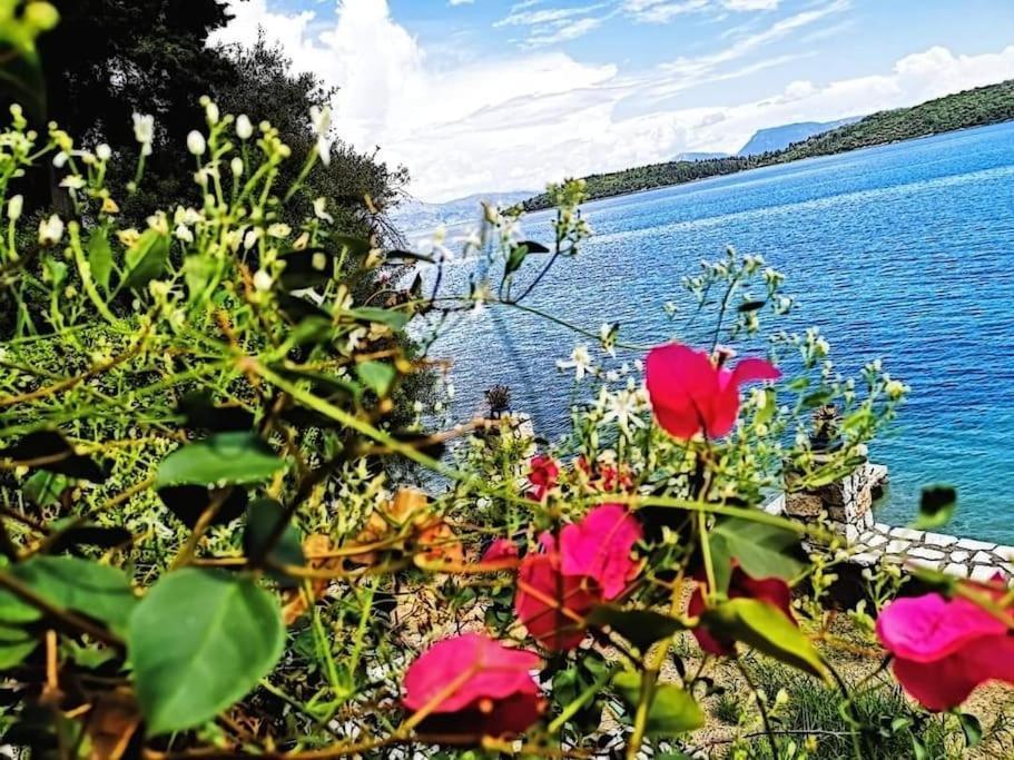 Villa Violeta Lefkada Nydri 외부 사진